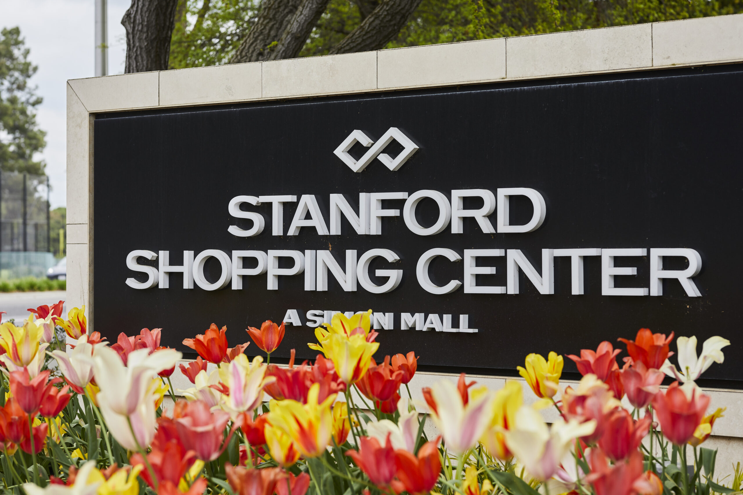 Things to Do in Palo Alto, California - Homes By Kirkpatrick